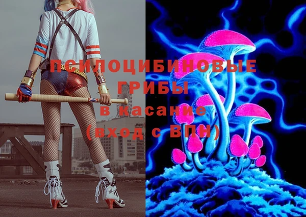 индика Нижневартовск